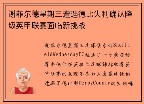 谢菲尔德星期三遭遇德比失利确认降级英甲联赛面临新挑战